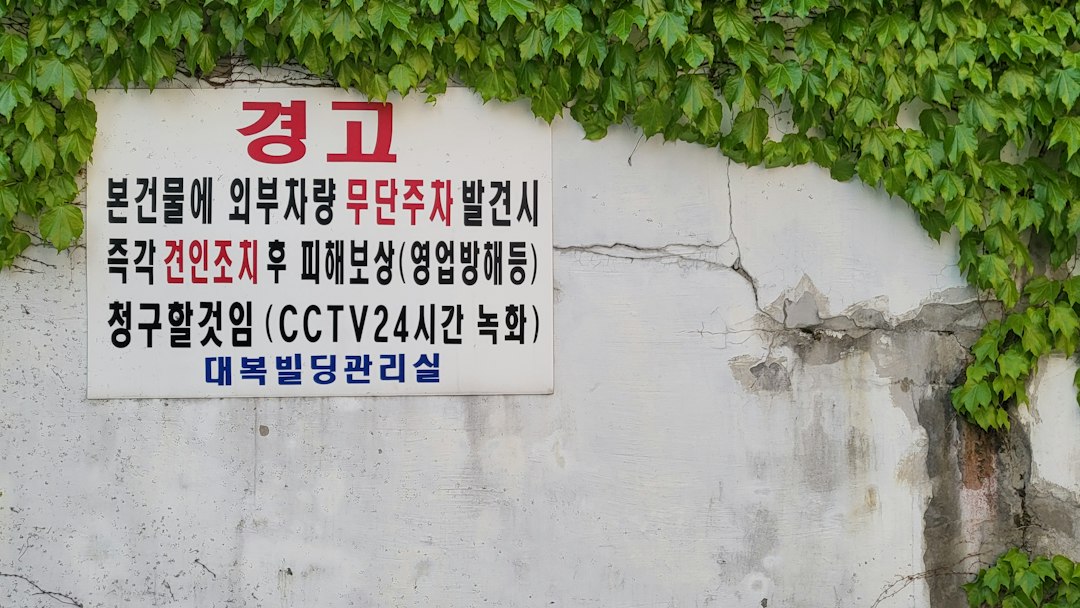 IT개발자 참고 이미지 2